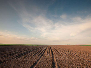 hurt-soil-field-colin-austin-gbiota