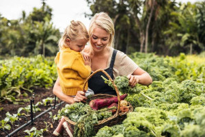 organic-farming-vegetables-fresh-gbiota-colin-austin (1)