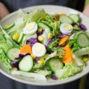 salad-bowl-colin-austin-gbiota