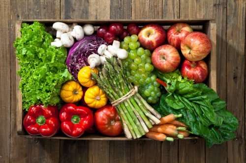 fruit-basket-colin-austin-gbiota