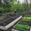 garden-bed-colin-austin-gbiota