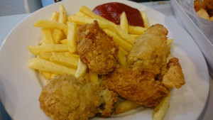 chicken-and-fries-colin-austin-gbiota