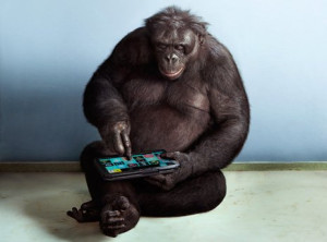 gorilla-on-ipad-colin-austin-gbiota