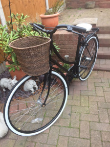 bike-colin-austin-gbiota