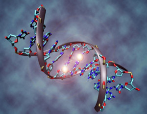 epigenetics-colin-austin-gbiota