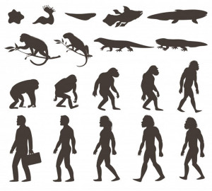 evolution-illustration-colin-austin-gbiota