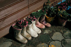 flowers-in-shoes-colin-austin-gbiota