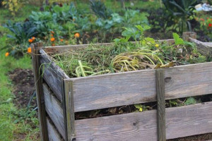 garden-bed-colin-austin-gbiota
