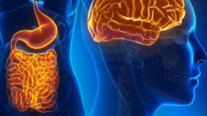 gut-brain-axis-colin-austin-gbiota