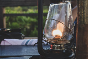 lamp-colin-austin-gbiota