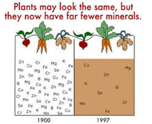 osmosis-mineral-plants-colin-austin-gbiota