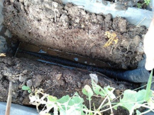 filler-pipe-colin-austin-gbiota