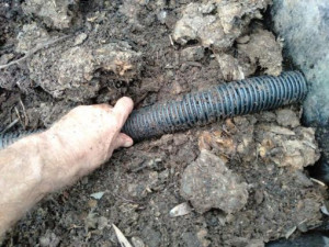 soil-dam-colin-austin-gbiota