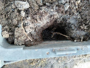 viewing-hole-colin-austin-gbiota