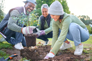 people-planting-in-garden-colin-austin-gbiota
