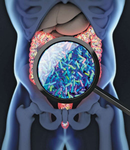 gut-biology-colin-austin-gbiota