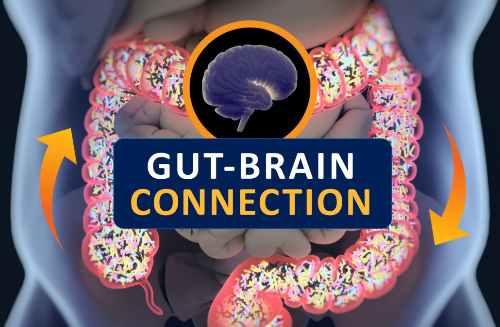 gut-brain-connection-colin-austin-gbiota