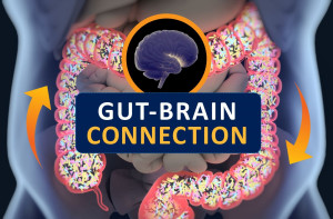 gut-brain-connection-colin-austin-gbiota