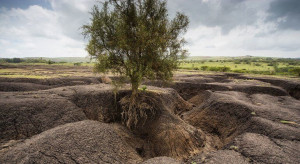 soil-degeneration-colin-austin-gbiota