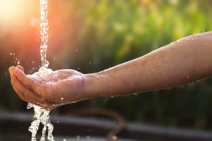 hand-under-running-water-colin-austin-gbiota