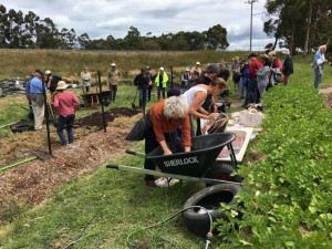 group-gardening-colin-austin-gbiota
