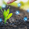 farmers-hand-water-young-plant-technology-concept-colin-austin-gbiota
