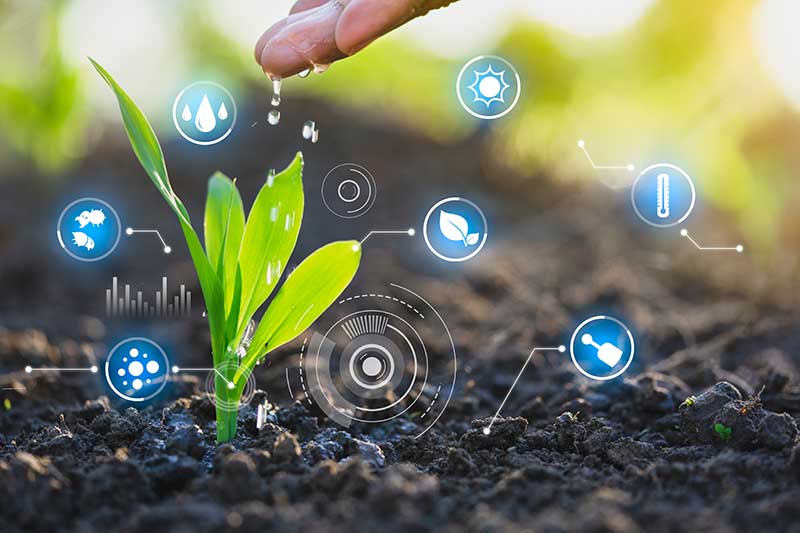 farmers-hand-water-young-plant-technology-concept-colin-austin-gbiota