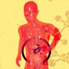 human-gut-health-skeleton-illustration-colin-austin-gbiota