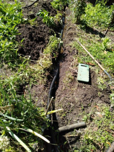 split-trench-colin-austin-gbiota