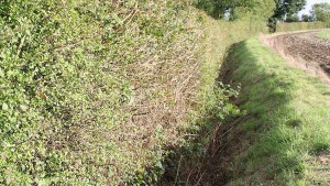 ditch-colin-austin-gbiota