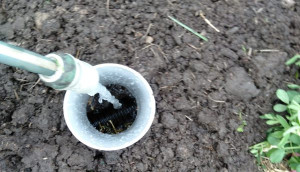 filing-hose-colin-austin-gbiota