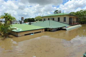 bundaberg-flood-colin-austin-gbiota