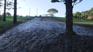 flood-slope-colin-austin-gbiota