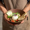 hands-holding-healthy-meal-colin-austin-gbiota