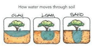 how-water-moves-through-soil-colin-austin-gbiota
