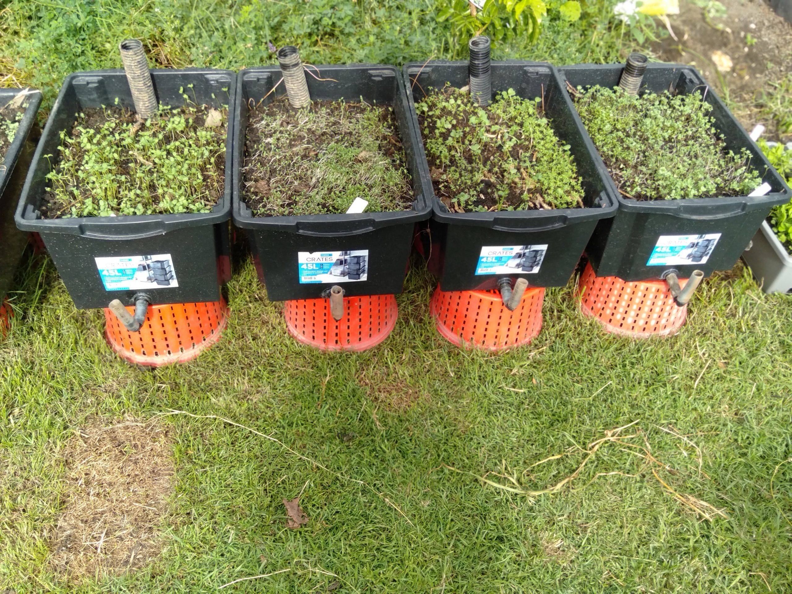 Gbiota boxes – update