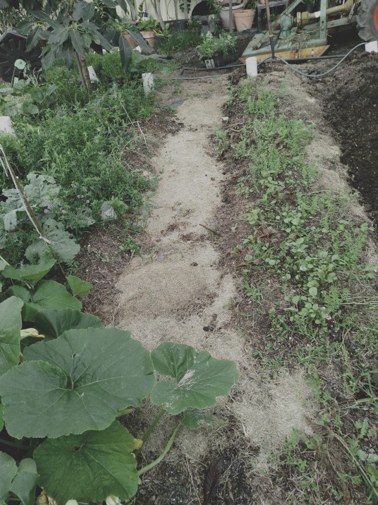 Trench beds