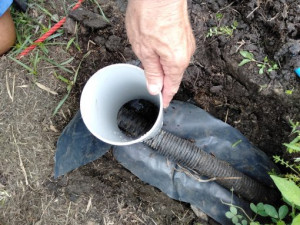 down-tube-colin-austin-gbiota