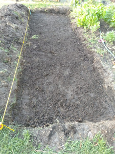 wide-trench-colin-austin-gbiota