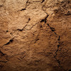 dry-dirt-soil-colin-austin-gbiota