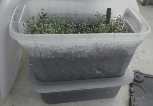 gbiota-box-colin-austin-gbiota