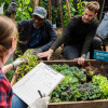 community-helping-in-garden-colin-austin-gbiota