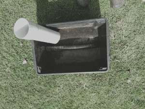 microbe-box-colin-austin-gbiota