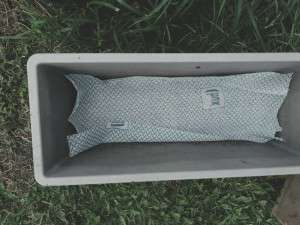 selfwatering-box-colin-austin-gbiota