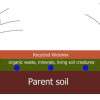 parent-soil-colin-austin-gbiota