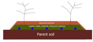 parent-soil-colin-austin-gbiota