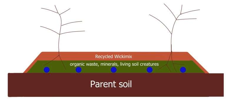 parent-soil-colin-austin-gbiota