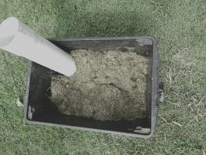 compost-layer-colin-austin-gbiota