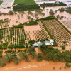 flooded-farm-colin-austin-gbiota
