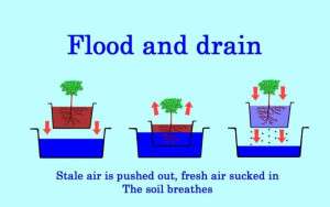 flood-and-drain-system-colin-austin-gbiota